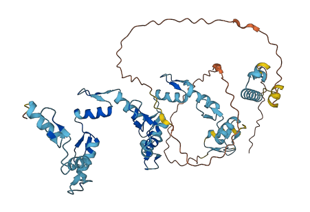 ZNF419 3D structure
