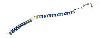 MRFAP1L1 3D structure