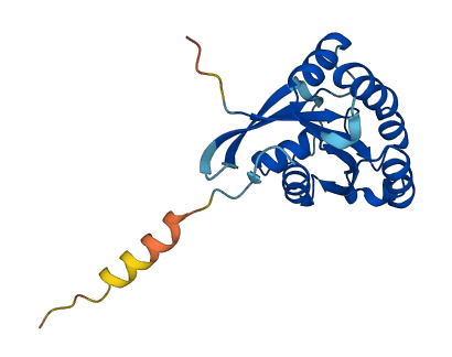 DIRAS2 3D structure