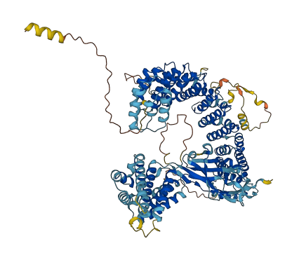 INTS4 3D structure