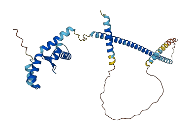 DDRGK1 3D structure