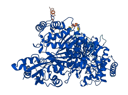 DHTKD1 3D structure
