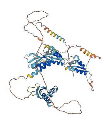 FUBP3 3D structure