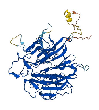 RCC1L 3D structure