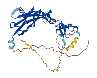 KAZALD1 3D structure