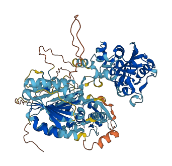 REXO5 3D structure