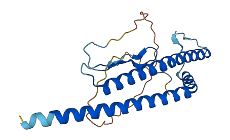 COA8 3D structure