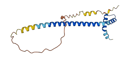 DYDC2 3D structure