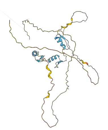 ZNF414 3D structure