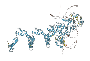 ZNF845 3D structure