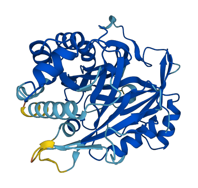 HPDL 3D structure