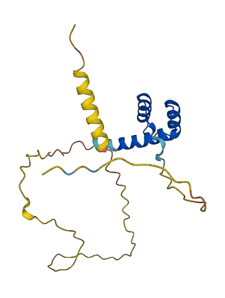 RAX2 3D structure