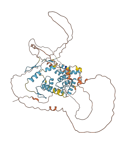 ZNF496 3D structure