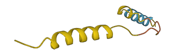 ARHGAP5-AS1 3D structure