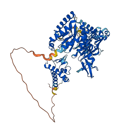 NGLY1 3D structure
