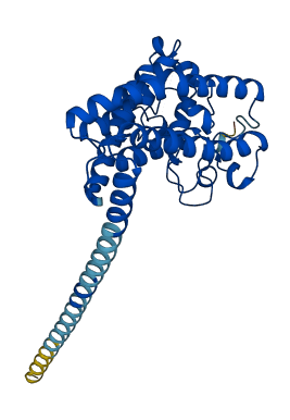 FAXDC2 3D structure