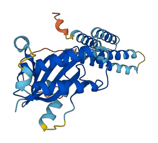 SEC22A 3D structure