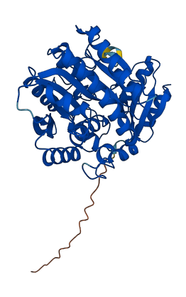 CPB2 3D structure
