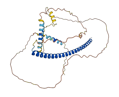 PAWR 3D structure