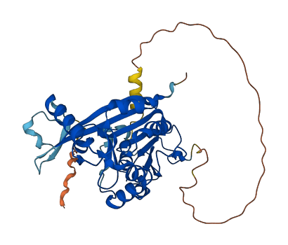 METTL2A 3D structure