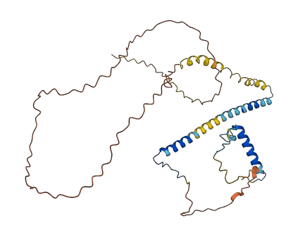 RSRC1 3D structure