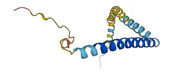 TPD52L3 3D structure