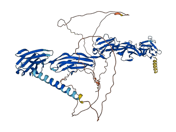 KIRREL1 3D structure