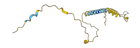 CYYR1 3D structure