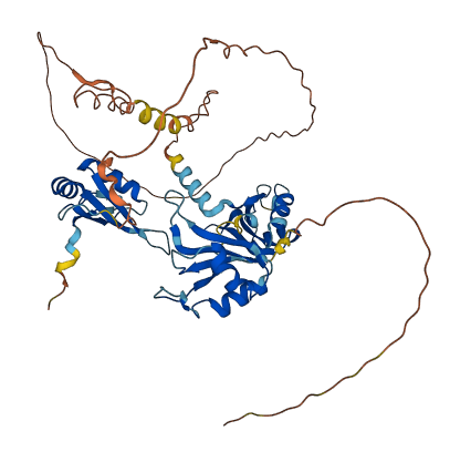 CELF6 3D structure