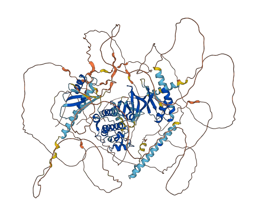 WNK4 3D structure