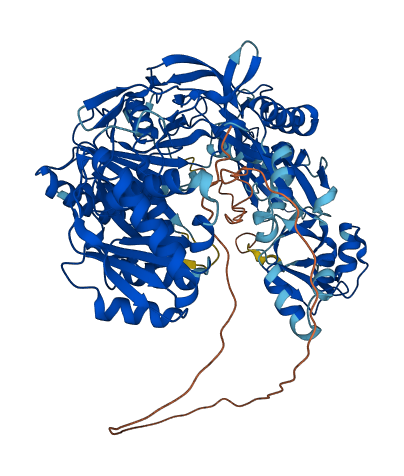 PIWIL1 3D structure