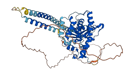 PLEKHA8 3D structure