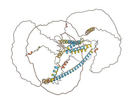 MS4A14 3D structure