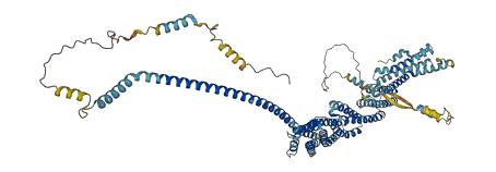 COG3 3D structure