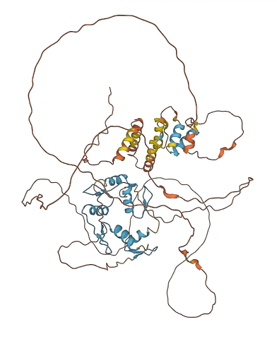 HIC2 3D structure