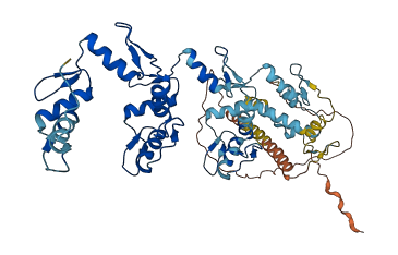 ZNF479 3D structure