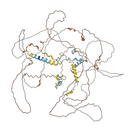 MAP6 3D structure