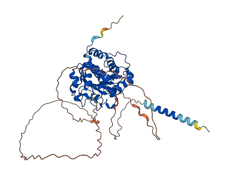 ST6GAL2 3D structure