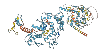 ZNF594 3D structure