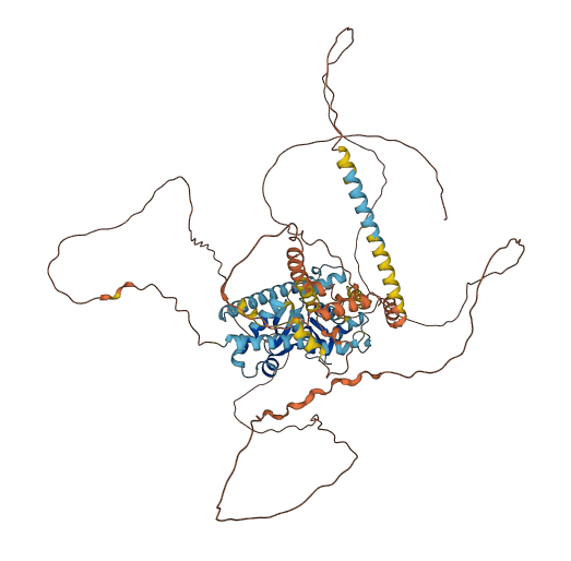 MAGED4 3D structure