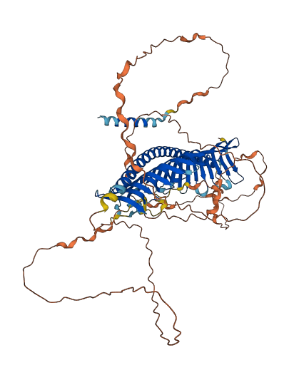 JPH4 3D structure