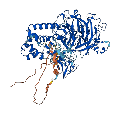HHIPL1 3D structure