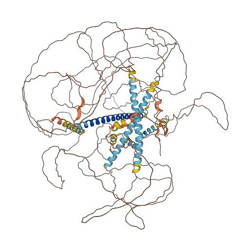 MAML3 3D structure