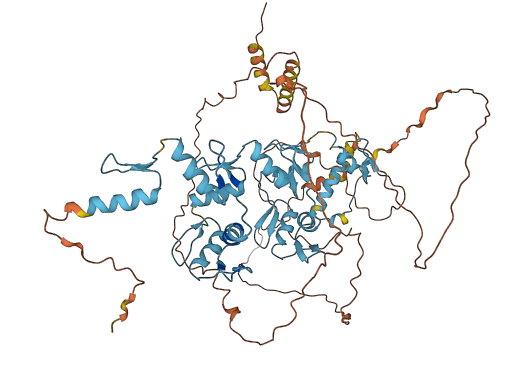 ZNF333 3D structure