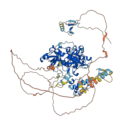 L3MBTL3 3D structure