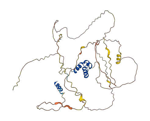 LCOR 3D structure