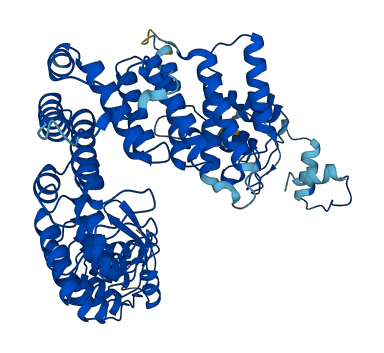 FEM1C 3D structure