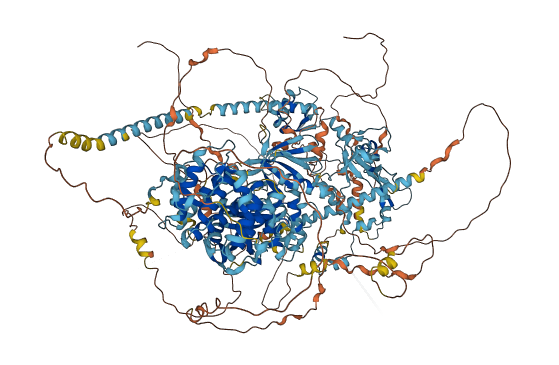 MYO15B 3D structure