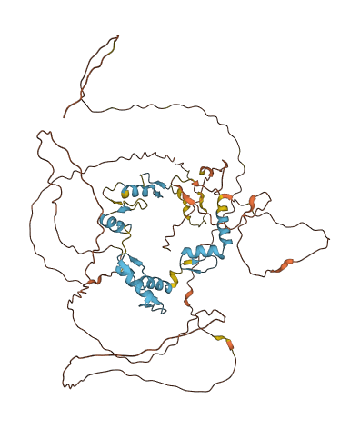 ZFP91 3D structure