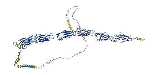 CDHR1 3D structure